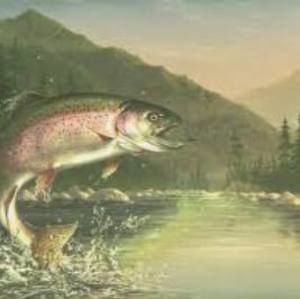 Meet your Posher, Brody